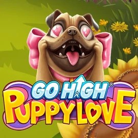 Go High Puppy Love casino game by RubyPlay – featured logo at 711 Casino