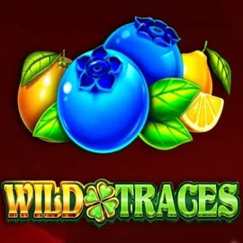 Play Wild Traces slot by Amusnet Interactive on casino711-be.com
